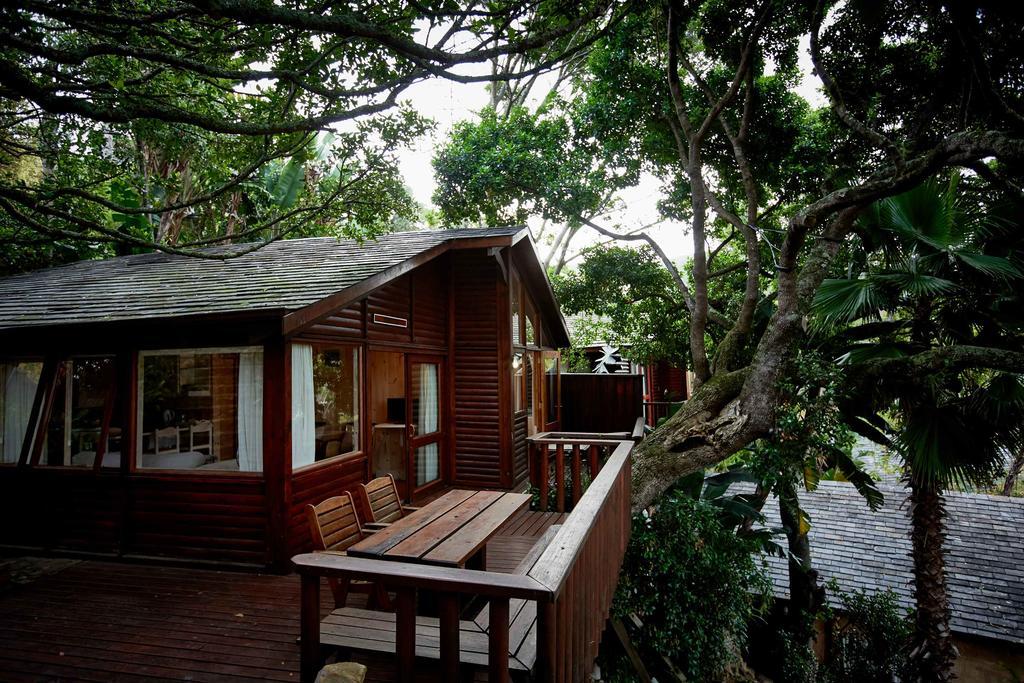 Under Milkwood Resort Knysna Exterior foto