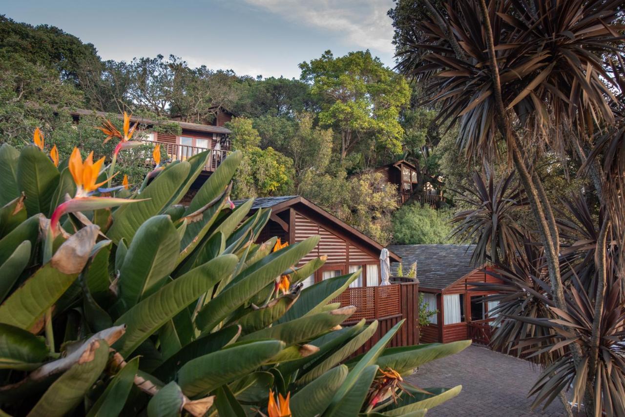 Under Milkwood Resort Knysna Exterior foto